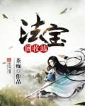 法宝任务哪里领取