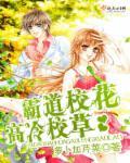 高冷校草人气校花