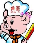 兽医 医生