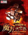 魔方世界大赛视频