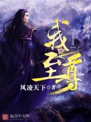 我是至尊有几个女主角