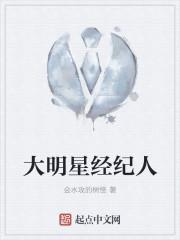 大明星和经纪人的电视剧