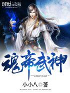 魂帝武神八殿