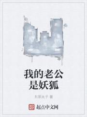 我的老公是狐狸在线阅读