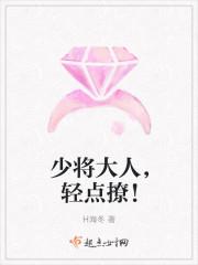 少将轻点宠