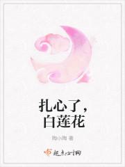 什么是白莲花和心机婊