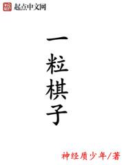 一粒棋子重量