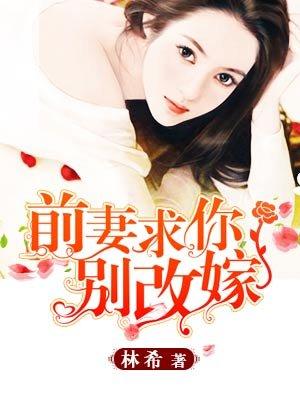 前妻求你别改嫁大结局