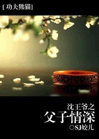 功夫熊猫沈王爷第几部