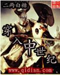 穿到中世纪搞建设(西方 穿越)