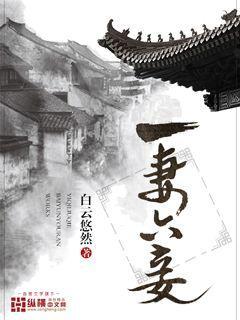 一妻六妾白云悠然txt