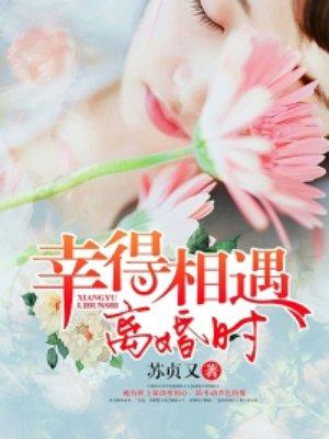 幸得相遇离婚时王小亿