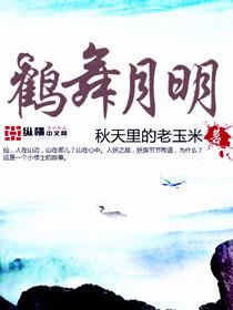 鹤舞云天的意思
