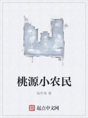 桃源山村小农民