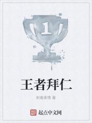王者拜仁足球之夜