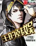 韩娱王txt