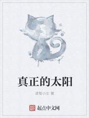 真正的太阳系运动轨迹