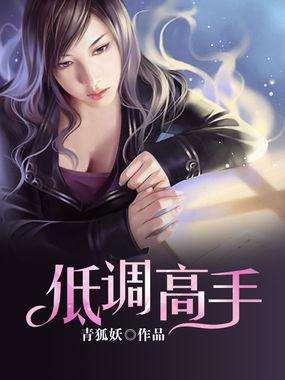 低调高手全集免费