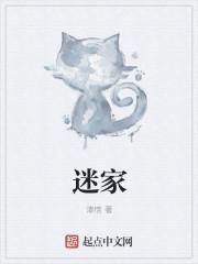 迷家小填无广告