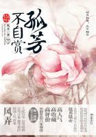 孤芳不自赏3