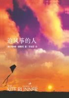 追风筝的人名句
