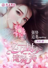 豪门暖婚之封少追妻