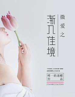 微爱之渐入佳境拼音
