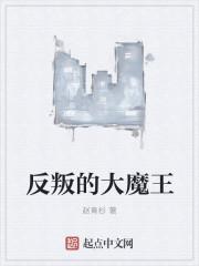 反叛的大魔王同人