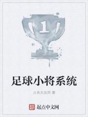 足球小将 攻略