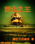 重生西北之王