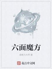 六面魔方顶面复原