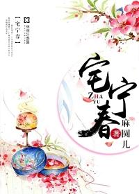 宅宁春参苏饮