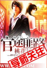官场布衣未删节版