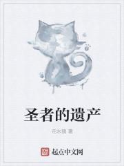圣者遗留的记忆