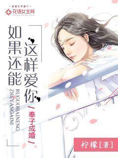 电视剧如果还可以这样爱
