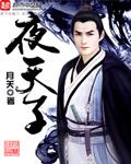 夜天子一共多少集结局
