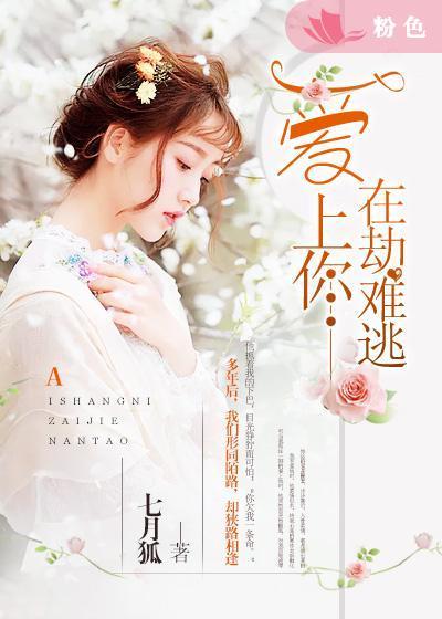 爱上你我在劫难逃歌词