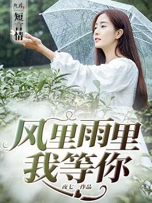 风里雨里我等你女声版