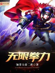 无限制泰拳这本书