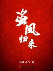 凤者归来全集