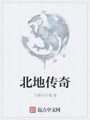 帝国时代2北地传奇