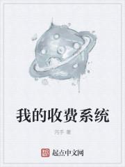 收费系统价格