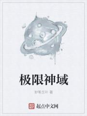 极限神域设定介绍