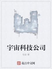 宇宙集团是上市公司吗?