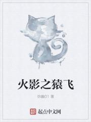 火影之猿飞日照