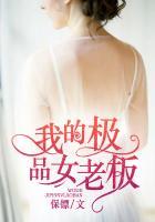 我的极品女老板付杰付真心免费阅读