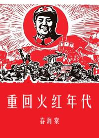 重回火红年代当俗人