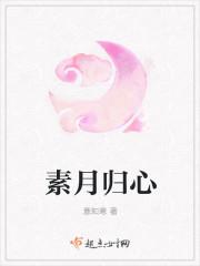 素月流天是什么意思