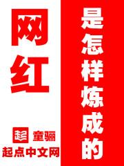 网红是怎样炼成的作文