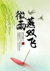 微雨燕双飞原著是什么